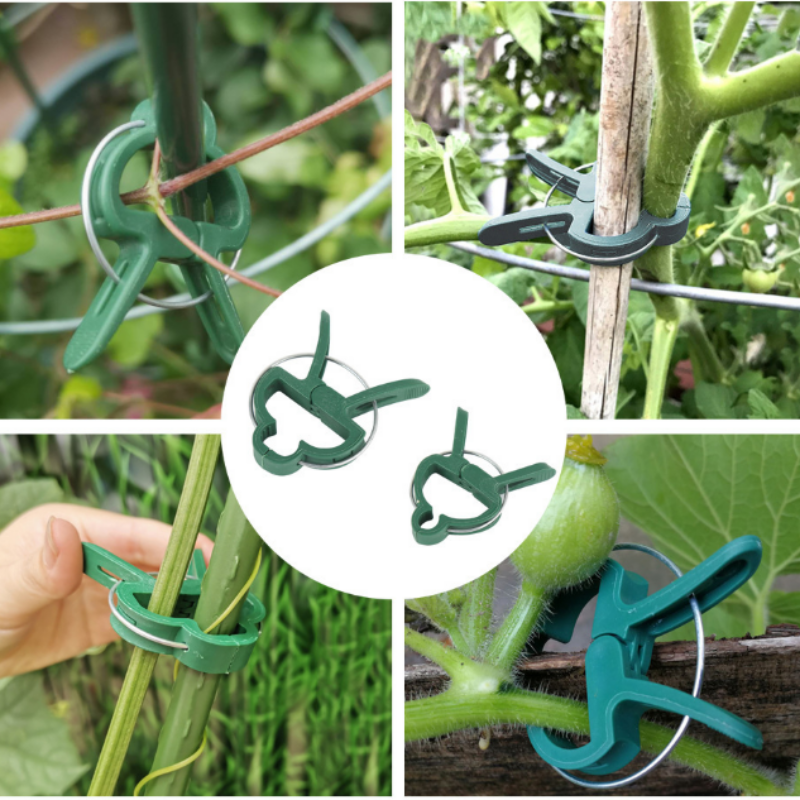 Clip professionali per piante 50pcs – fissano rami, steli e rampicanti, resistenti e facili da usare