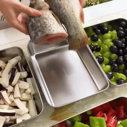 Scatole Per La Conservazione Degli Alimenti, Teglia Rettangolare (25x20x5cm)