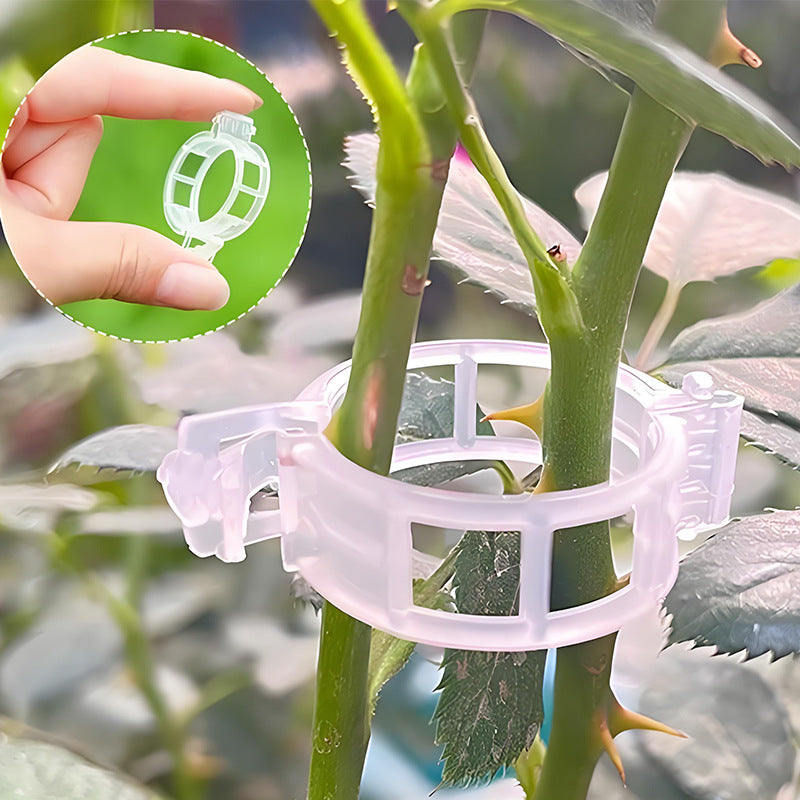 Clip professionali per piante 100pcs  – Ideale per Pomodori e Orto (Fissaggio Stabile e Riutilizzabile)