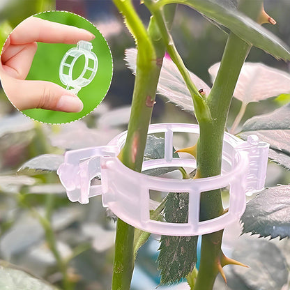 Clip professionali per piante 100pcs  – Ideale per Pomodori e Orto (Fissaggio Stabile e Riutilizzabile)