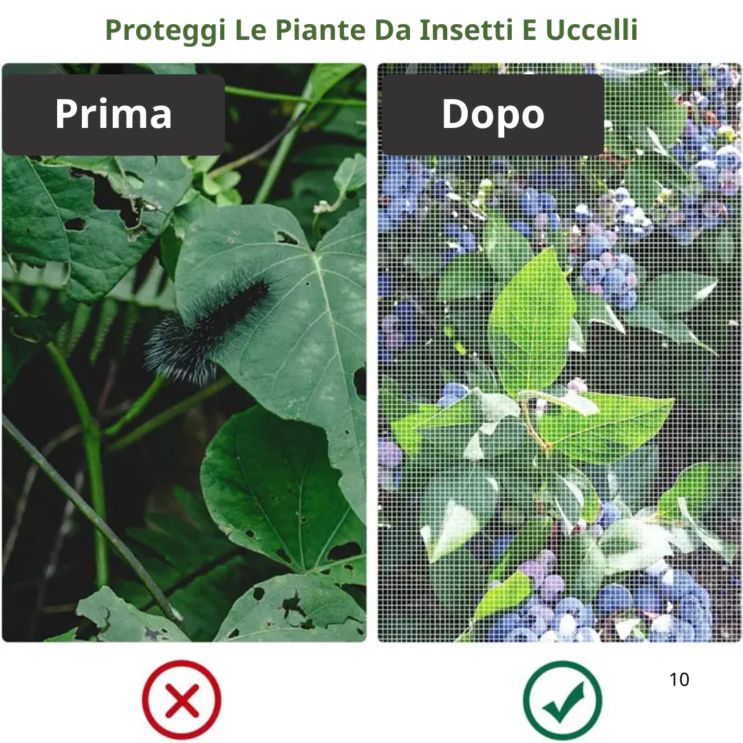 Sacchetti In Rete Traspiranti Riutilizzabili Per Proteggere Frutta E Verdura – Proteggono Da Insetti, Mosche Della Frutta E Uccelli