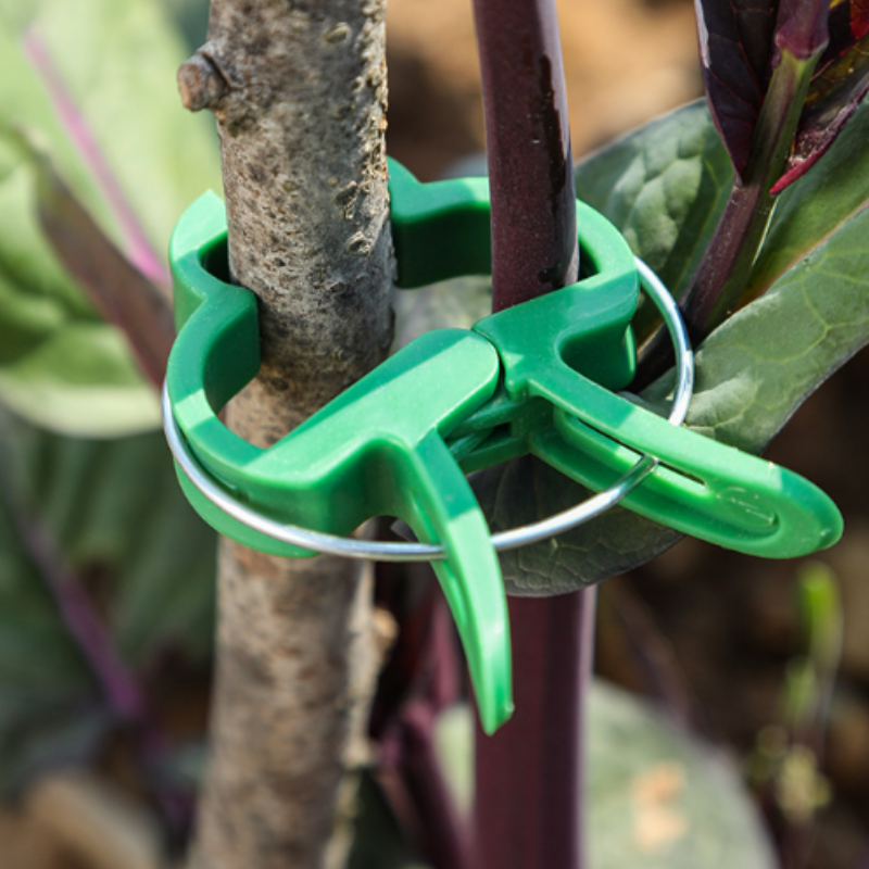 Clip professionali per piante 50pcs – fissano rami, steli e rampicanti, resistenti e facili da usare