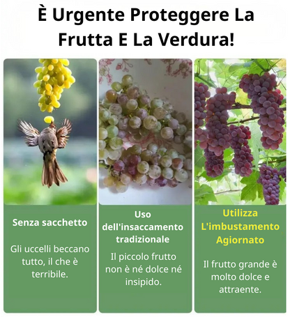 Sacchetti In Rete Traspiranti Riutilizzabili Per Proteggere Frutta E Verdura – Proteggono Da Insetti, Mosche Della Frutta E Uccelli