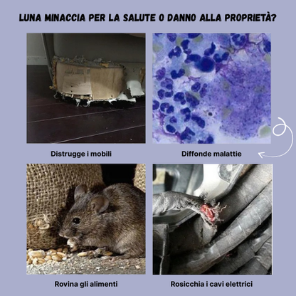 BestSeller™ - Gabbia Trappola Umana Per Topi, Mouse E Scoiattoli Vivi