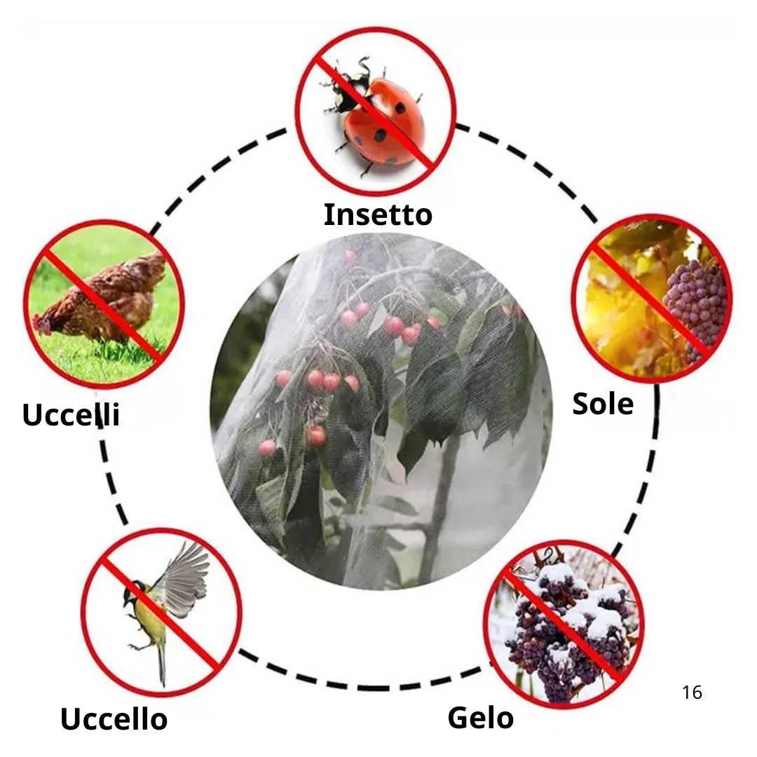 Sacchetti In Rete Traspiranti Riutilizzabili Per Proteggere Frutta E Verdura – Proteggono Da Insetti, Mosche Della Frutta E Uccelli