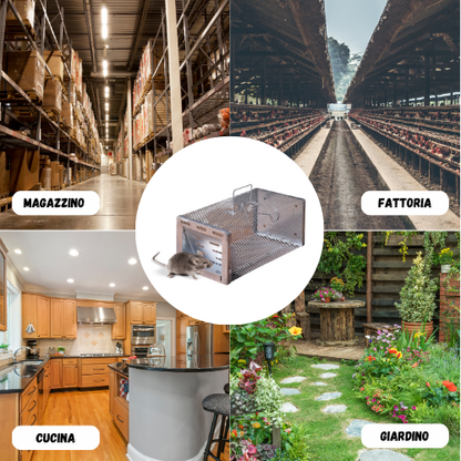 BestSeller™ - Gabbia Trappola Umana Per Topi, Mouse E Scoiattoli Vivi