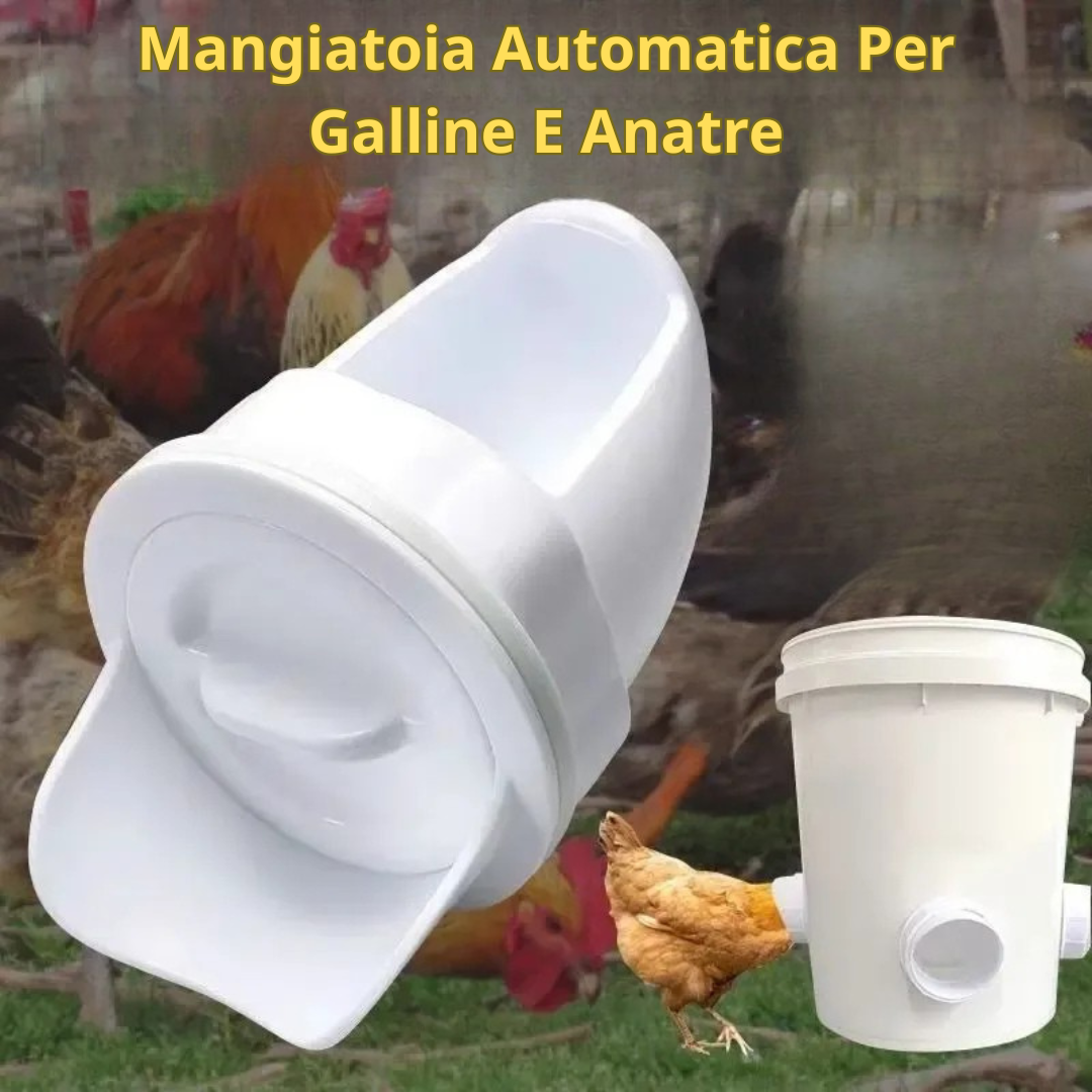 Mangiatoia Automatica Per Polli E Anatre Per Tutti I Tipi Di Secchi – Include Punta Da Trapano E Sega A Tazza