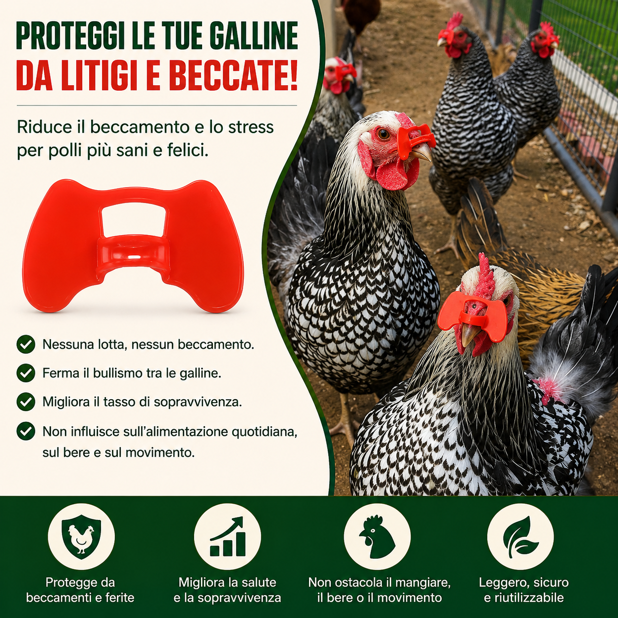 Clip Anti-Beccaggio per Galline – Riduce Litigi, Ferite e Piume Strappate
