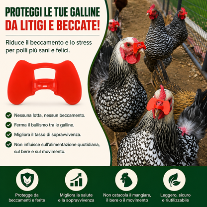 Clip Anti-Beccaggio per Galline – Riduce Litigi, Ferite e Piume Strappate