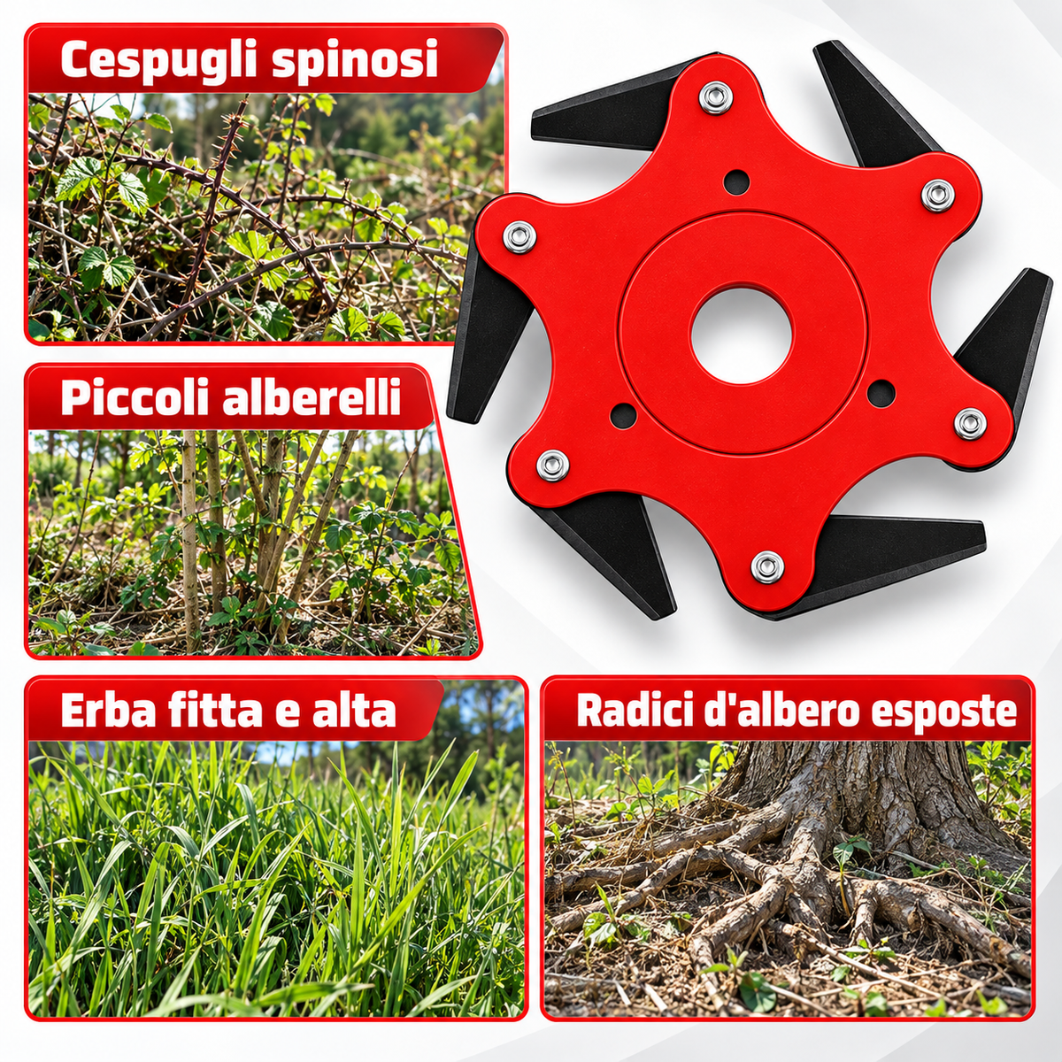 Lama per prato con 6 denti in acciaio (Accessori inclusi)
