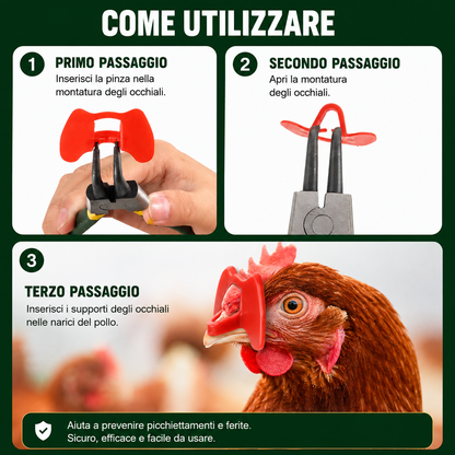 Clip Anti-Beccaggio per Galline – Riduce Litigi, Ferite e Piume Strappate