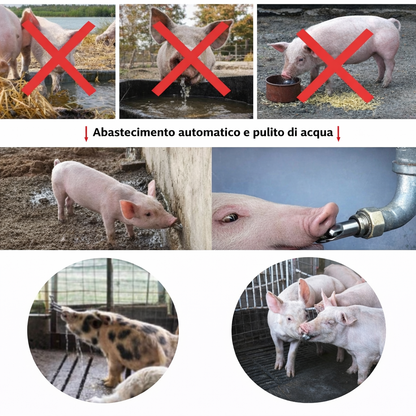 Abbeveratoio Automatico in Acciaio Inox 304 – Risparmio d’Acqua, Stalla Asciutta e Animali Più Sani