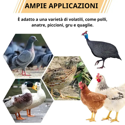 Mangiatoia Automatica Per Polli E Anatre Per Tutti I Tipi Di Secchi – Include Punta Da Trapano E Sega A Tazza