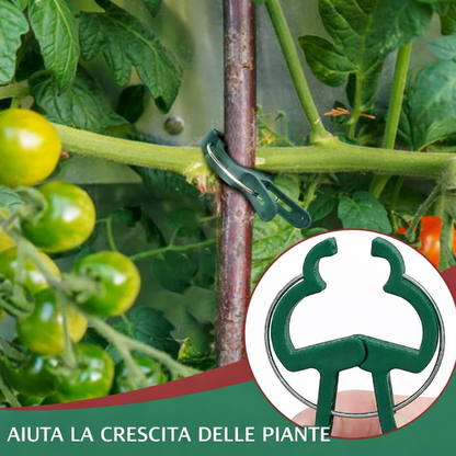 Clip professionali per piante 50pcs – fissano rami, steli e rampicanti, resistenti e facili da usare