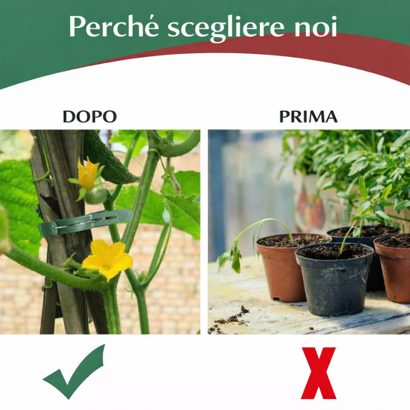 Clip professionali per piante 50pcs – fissano rami, steli e rampicanti, resistenti e facili da usare