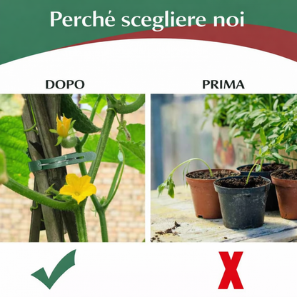 Clip professionali per piante 50pcs – fissano rami, steli e rampicanti, resistenti e facili da usare