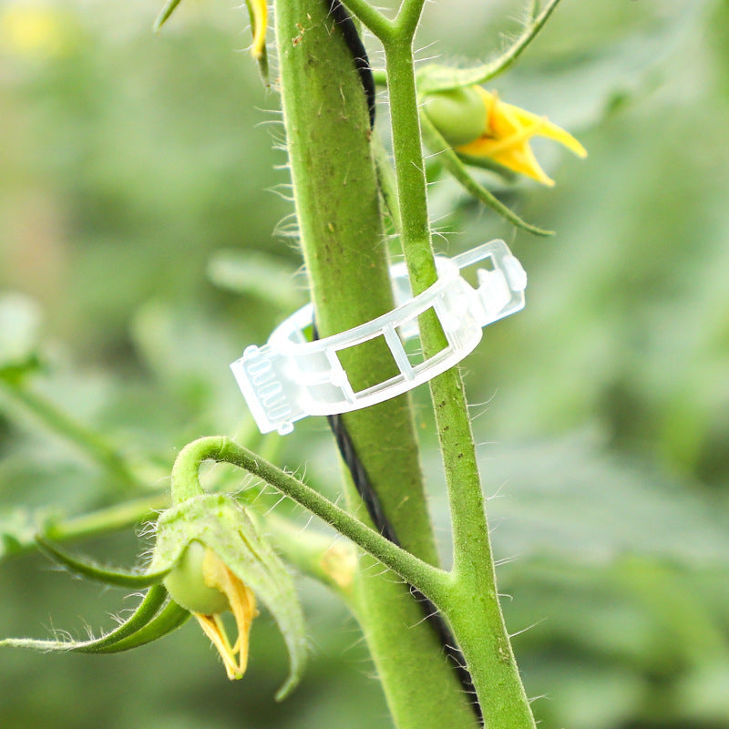 Clip professionali per piante 100pcs  – Ideale per Pomodori e Orto (Fissaggio Stabile e Riutilizzabile)