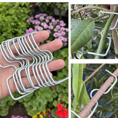 Set da 50 pezzi di strumenti per piegare i rami in stile Giapponese – la soluzione per favorire la fioritura e ottenere frutti più belli