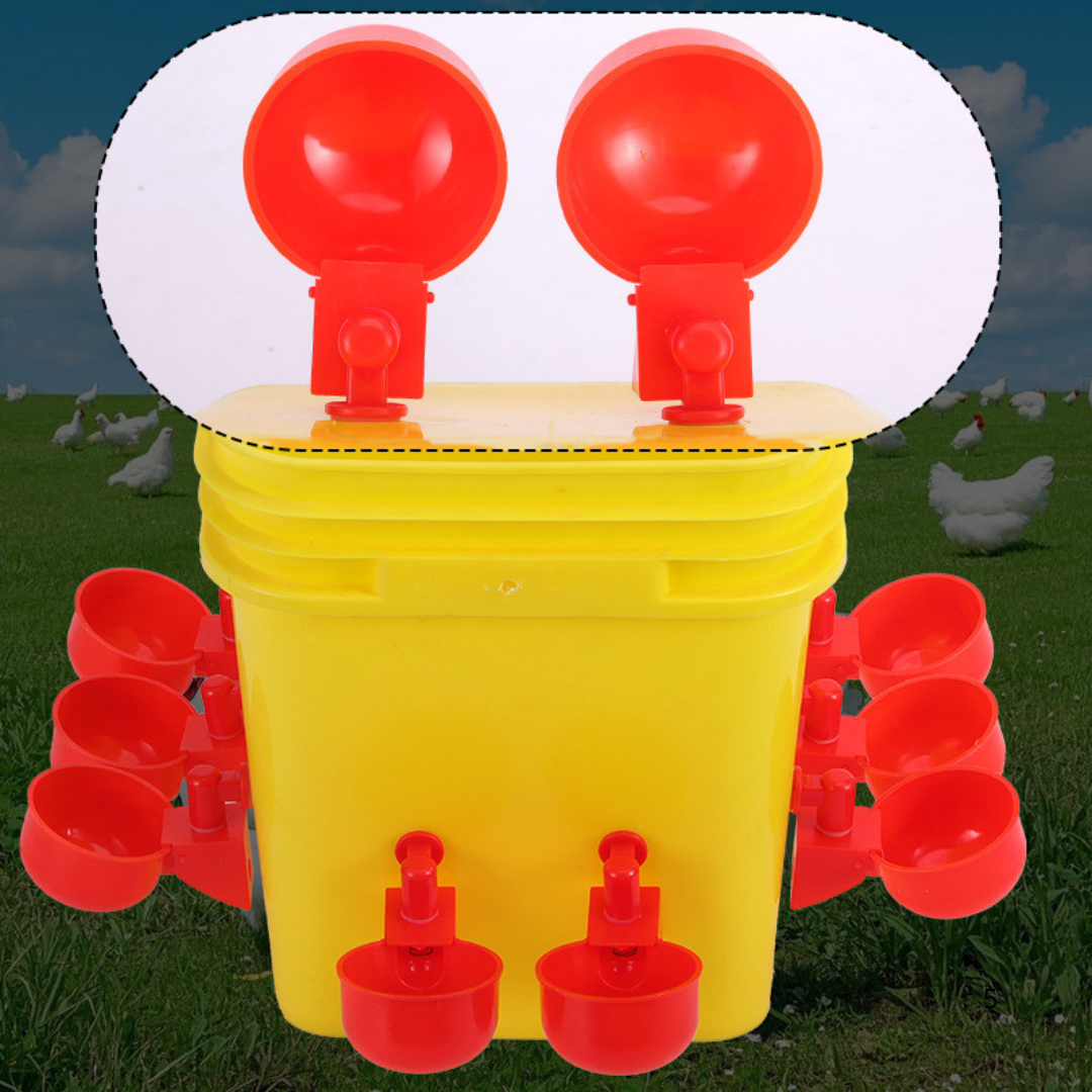 Abbeveratoio Automatico Per Pollame (Per Galline E Uccelli) - Include Una Sega A Tazza