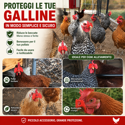 Clip Anti-Beccaggio per Galline – Riduce Litigi, Ferite e Piume Strappate