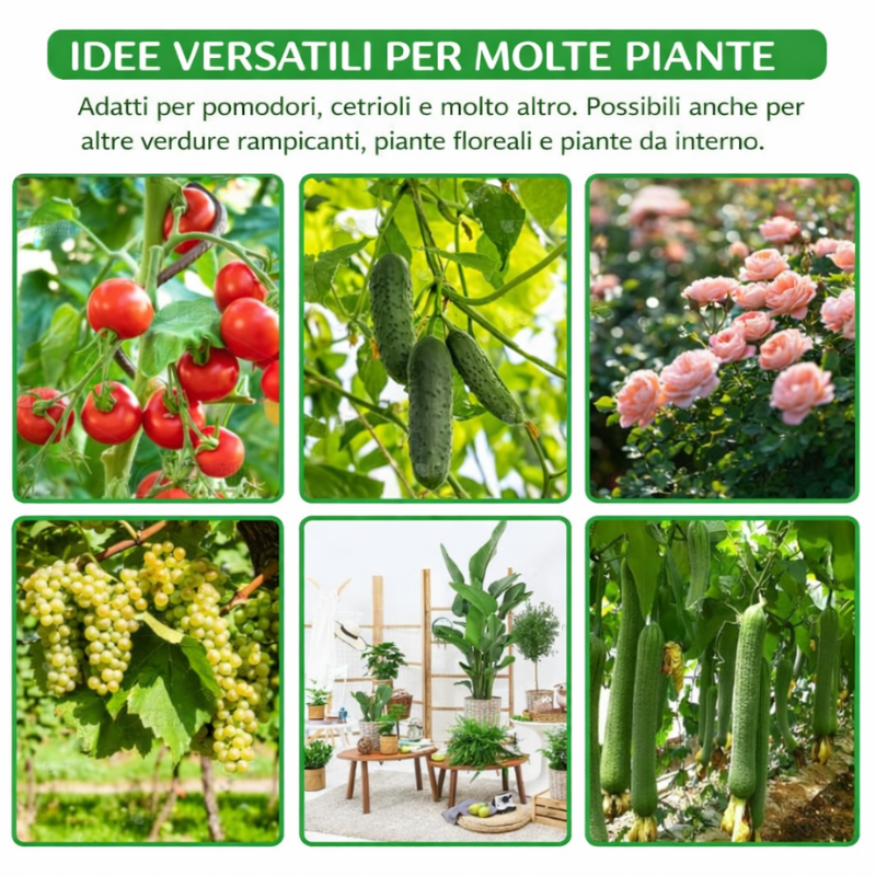 Clip professionali per piante 50pcs – fissano rami, steli e rampicanti, resistenti e facili da usare