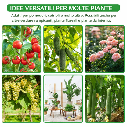 Clip professionali per piante 50pcs – fissano rami, steli e rampicanti, resistenti e facili da usare