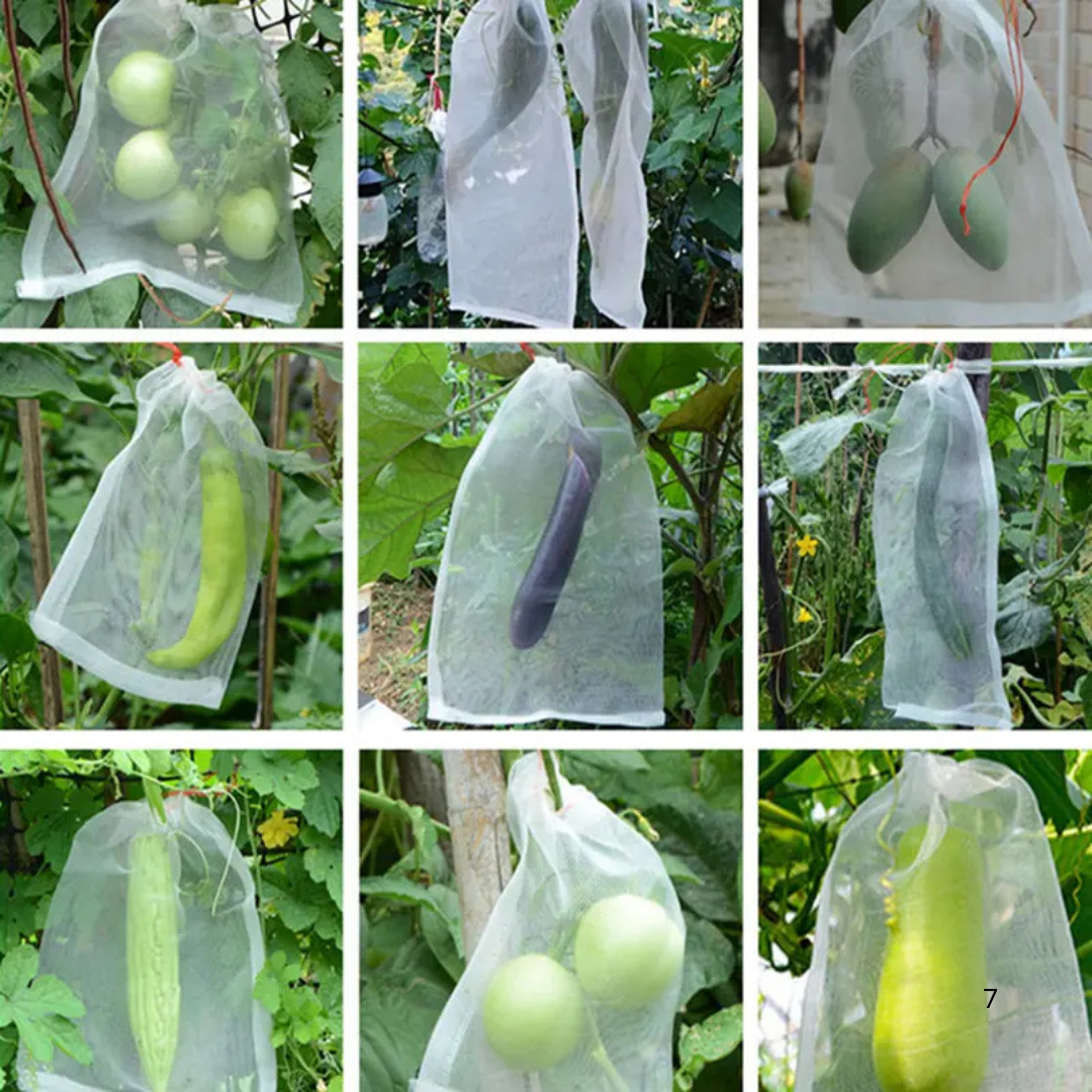 Sacchetti In Rete Traspiranti Riutilizzabili Per Proteggere Frutta E Verdura – Proteggono Da Insetti, Mosche Della Frutta E Uccelli