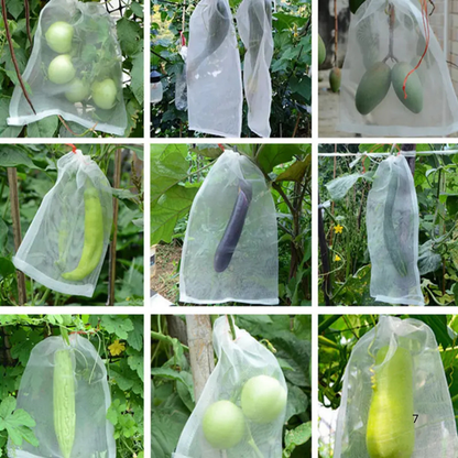 Sacchetti In Rete Traspiranti Riutilizzabili Per Proteggere Frutta E Verdura – Proteggono Da Insetti, Mosche Della Frutta E Uccelli