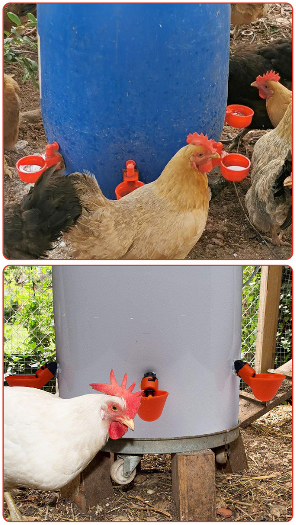 Abbeveratoio Automatico Per Pollame (Per Galline E Uccelli) - Include Una Sega A Tazza