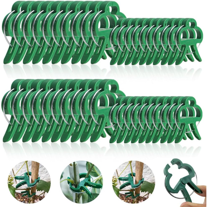 Clip professionali per piante 50pcs – fissano rami, steli e rampicanti, resistenti e facili da usare