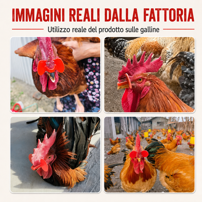Clip Anti-Beccaggio per Galline – Riduce Litigi, Ferite e Piume Strappate