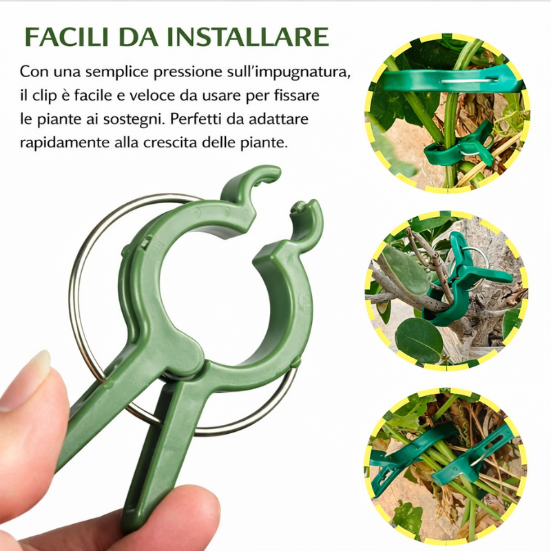 Clip professionali per piante 50pcs – fissano rami, steli e rampicanti, resistenti e facili da usare