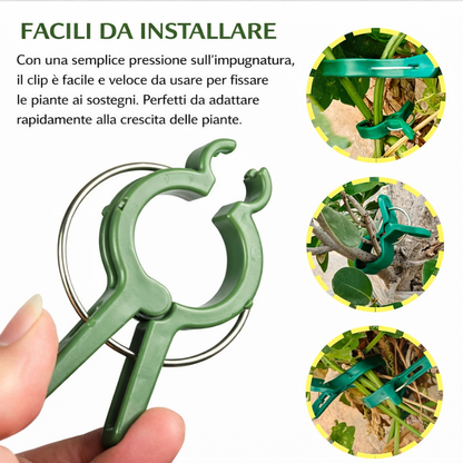 Clip professionali per piante 50pcs – fissano rami, steli e rampicanti, resistenti e facili da usare