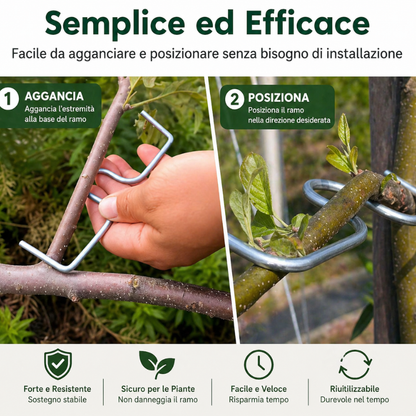Set da 50 pezzi di strumenti per piegare i rami in stile Giapponese – la soluzione per favorire la fioritura e ottenere frutti più belli
