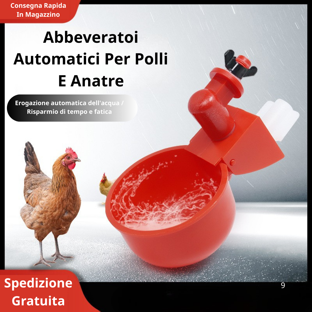 Abbeveratoio Automatico Per Pollame (Per Galline E Uccelli) - Include Una Sega A Tazza