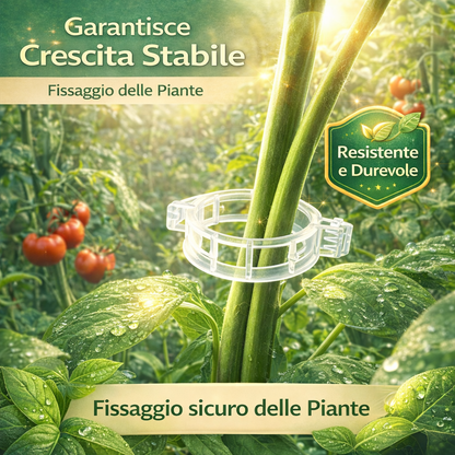 Clip professionali per piante 100pcs  – Ideale per Pomodori e Orto (Fissaggio Stabile e Riutilizzabile)