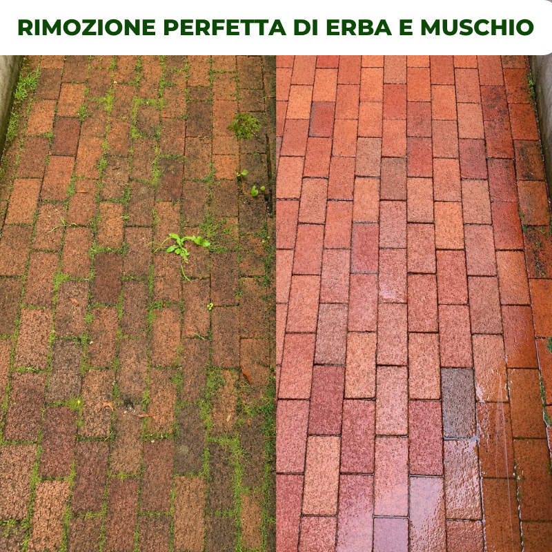 La Testa Del Tagliaerba Ha 6 Rami Intrecciati Con Filo D'Acciaio Resistente