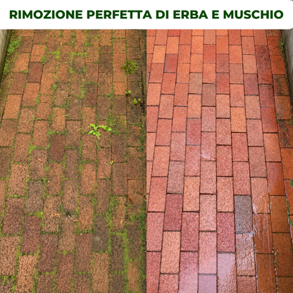 La Testa Del Tagliaerba Ha 6 Rami Intrecciati Con Filo D'Acciaio Resistente