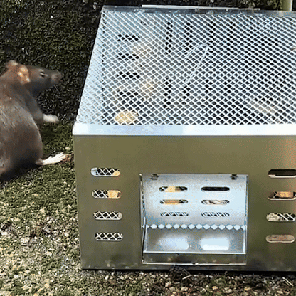 BestSeller™ - Gabbia Trappola Umana Per Topi, Mouse E Scoiattoli Vivi