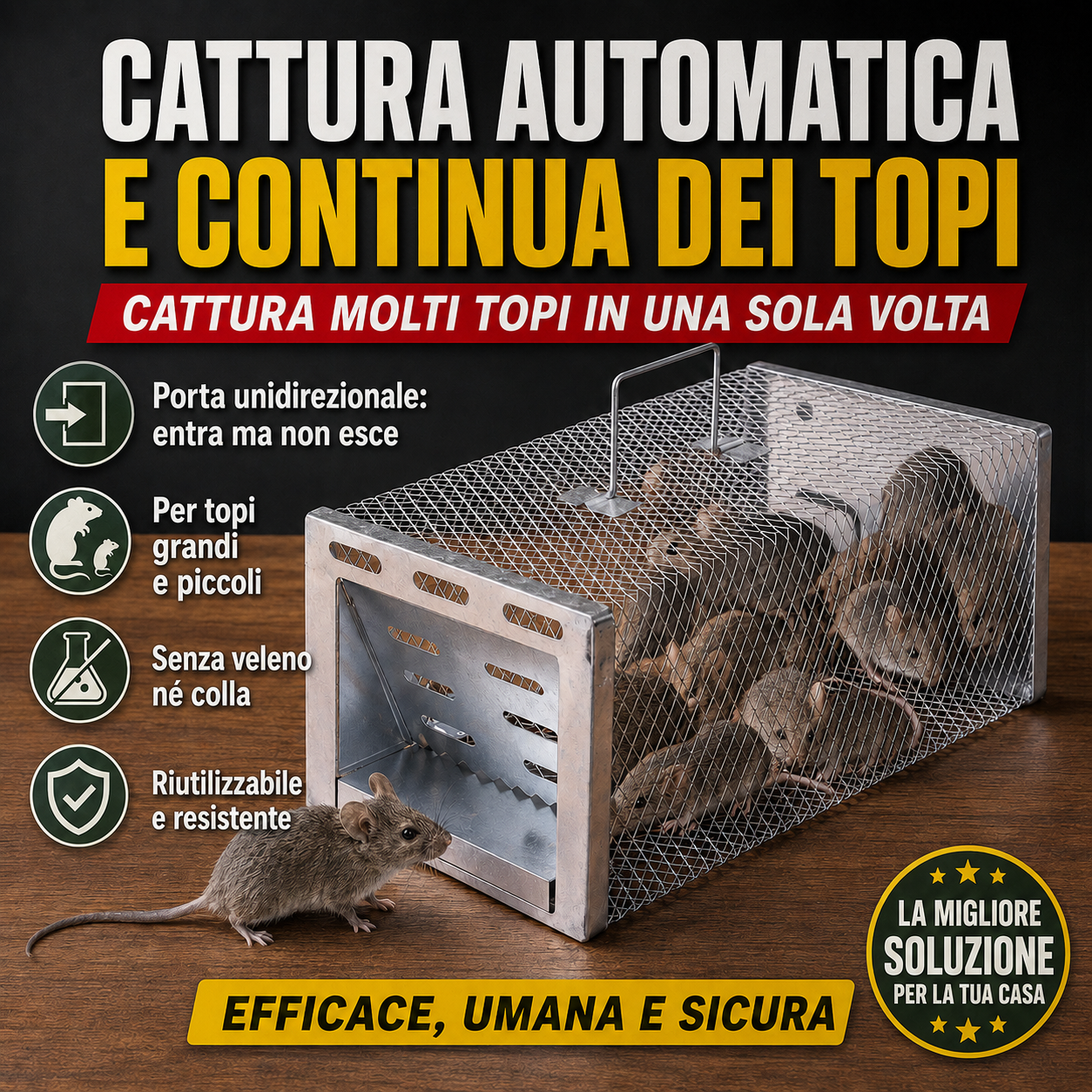 Trappola a Gabbia Non Letale per Catturare Vivi Ratti, Topi e Scoiattoli